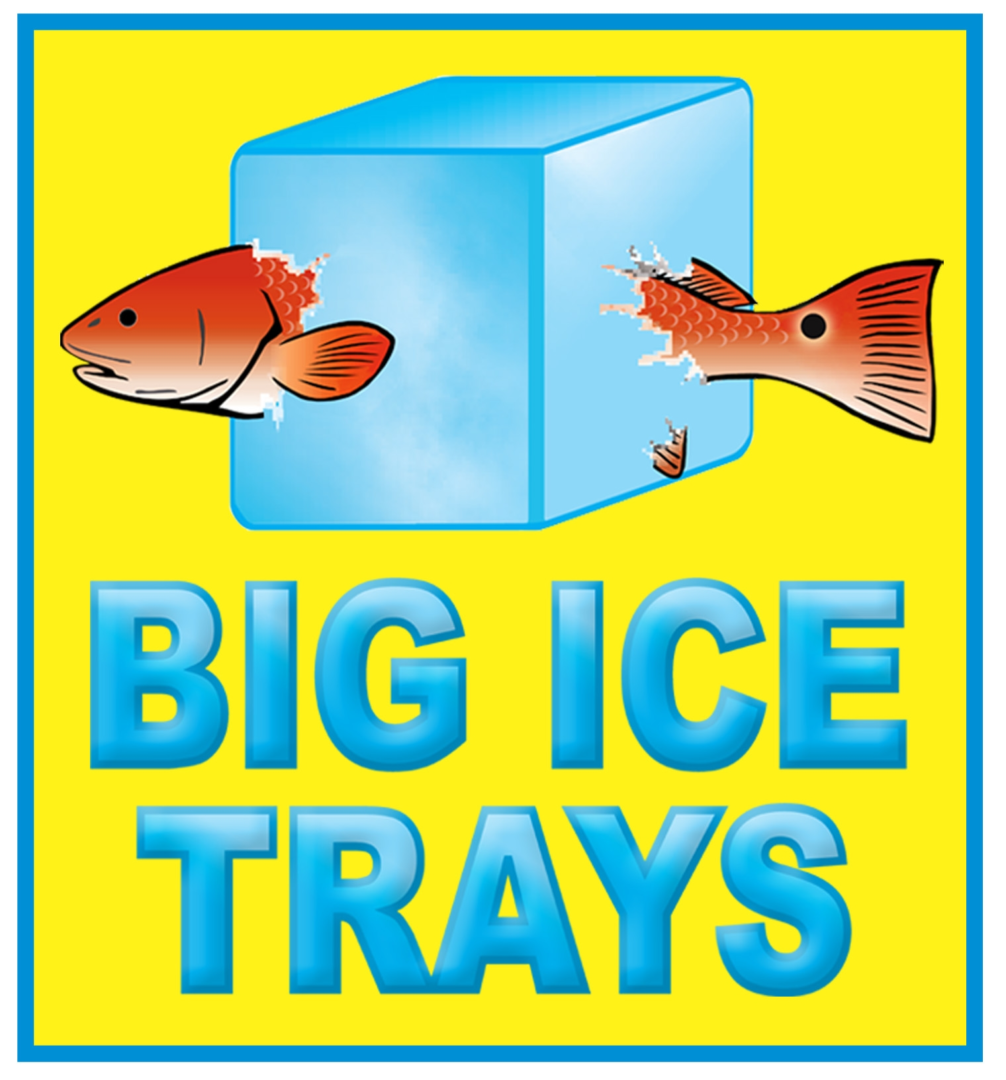 A big ice tray with two fish swimming in it